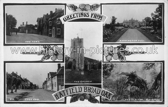 Greetings from Hatfield Broad Oak, Essex. c.1920's